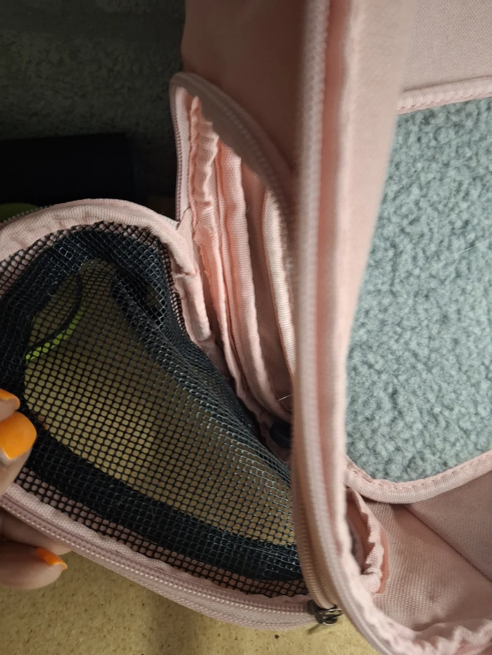 Clear Bubble Pet Carrier Backpack in Blush Pink